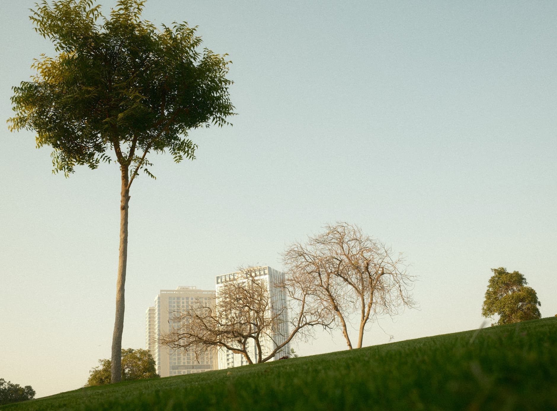 Fujifilm photo using a FujiPic recipe