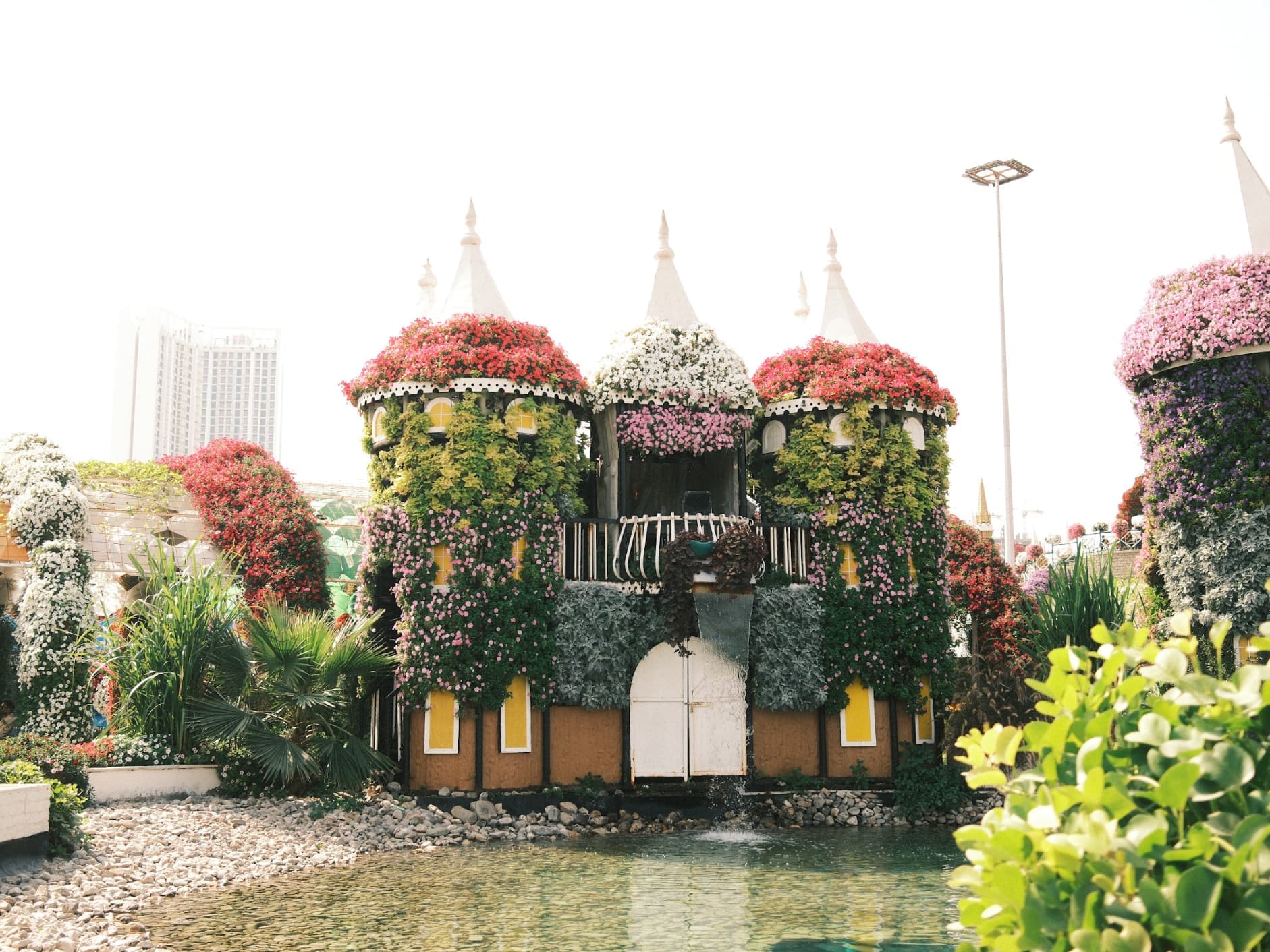 Featured FujiPic community photo