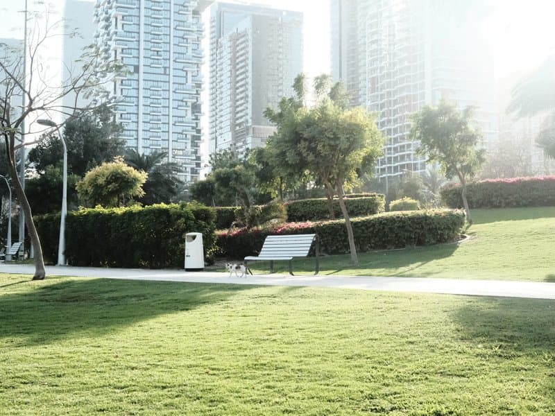 A sunny park scene with a bench surrounded by greenery and tall buildings in the background.