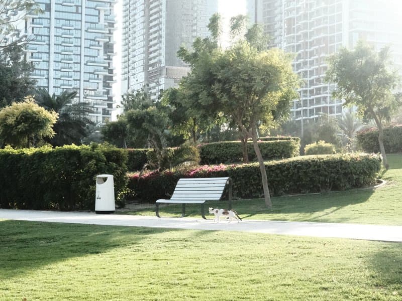 A park scene with a bench, trash can, and greenery surrounded by tall buildings under bright sunlight.