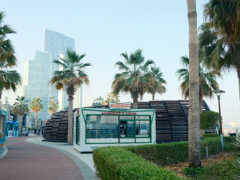 A modern building surrounded by palm trees along a coastal promenade with city skyscrapers in the background.