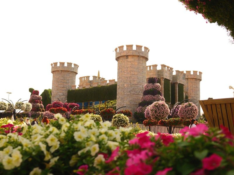 Colorful flowers in the foreground with a stone castle in the background under a bright sky.
