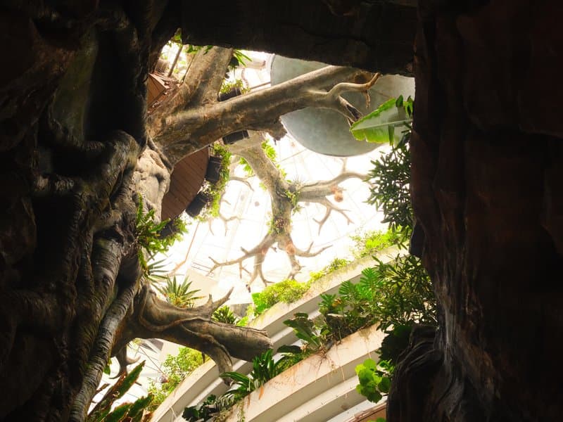 View from below of a green indoor space with trees and plants reaching towards a bright ceiling.
