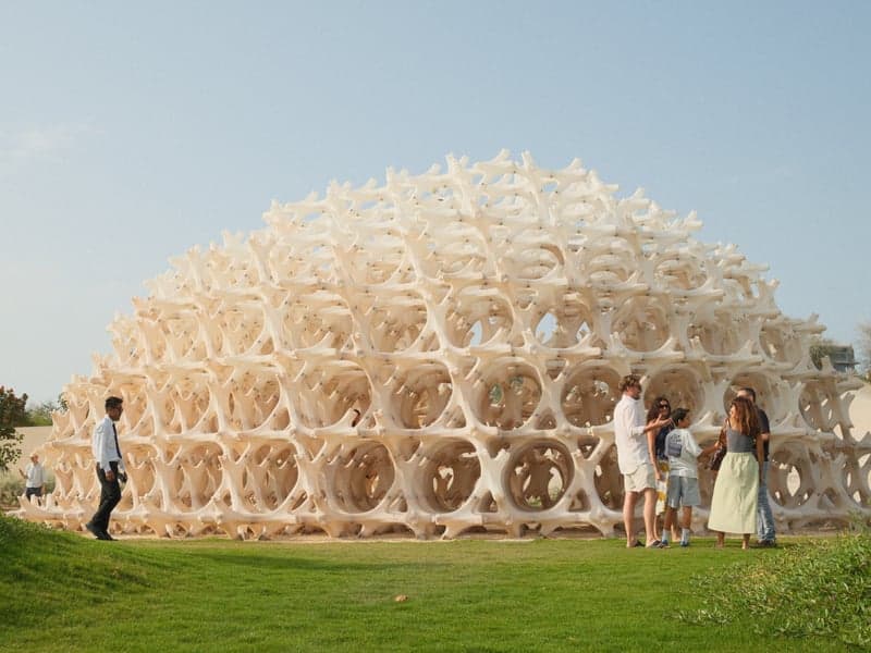A group of people interacting around a large, honeycomb-like structure in a green outdoor setting.