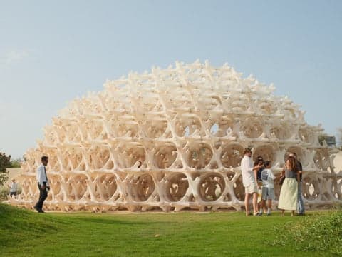 A group of people interacting around a large, honeycomb-like structure in a green outdoor setting.