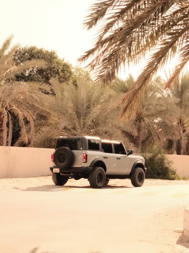 A silver SUV parked on a sandy road surrounded by palm trees under a warm light.