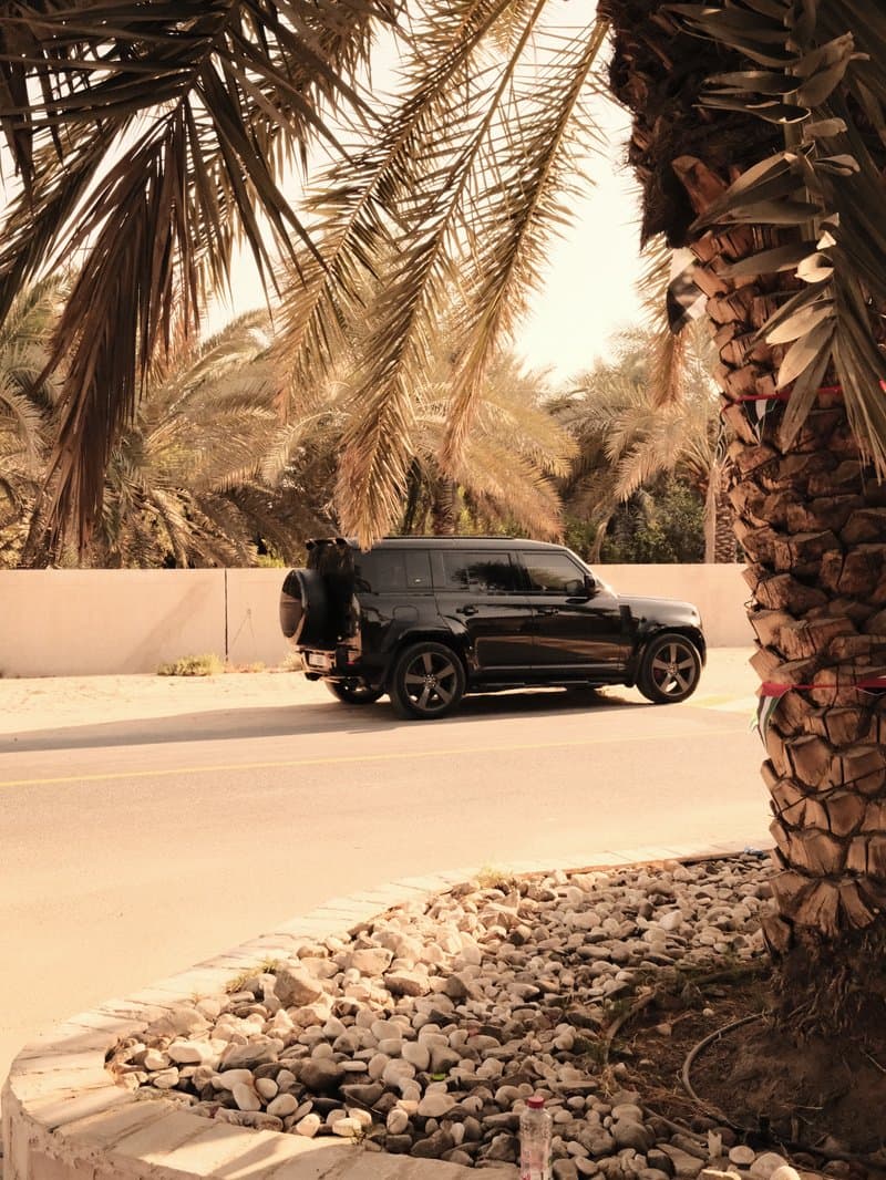 A black SUV parked beside a palm tree in a sunny, desert-like environment.