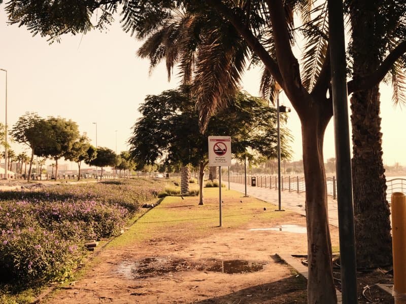 A sunlit pathway lined with trees and shrubs, featuring a no parking sign.