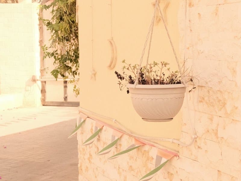 A hanging flower pot on a textured wall with decorative bunting below in a softly lit outdoor setting.