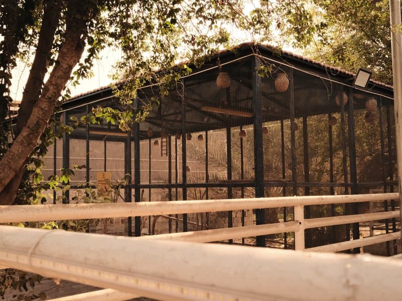A rustic structure with a metal frame, surrounded by trees and a wooden fence, under warm light.