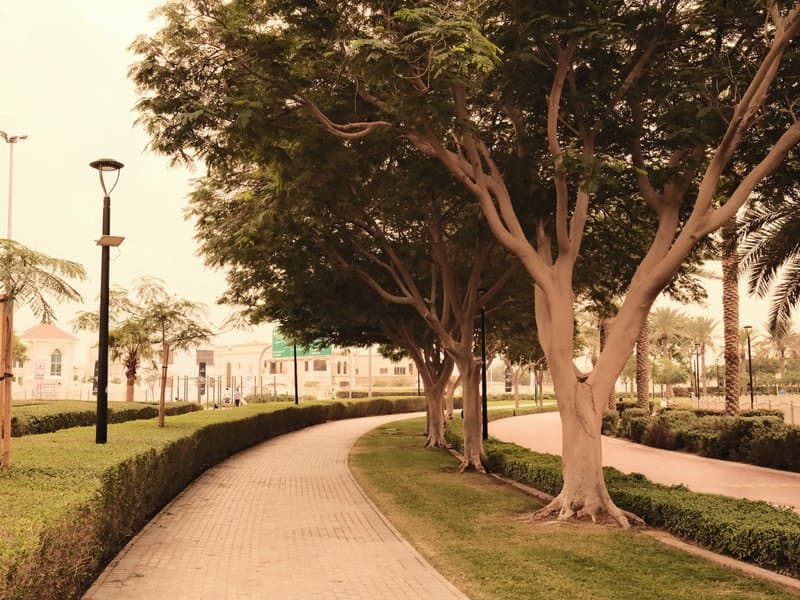 A serene park pathway lined with trees and hedges under soft lighting.