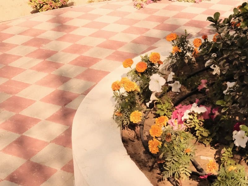 A close-up view of a patterned tiled pathway with colorful flowers along the edge.