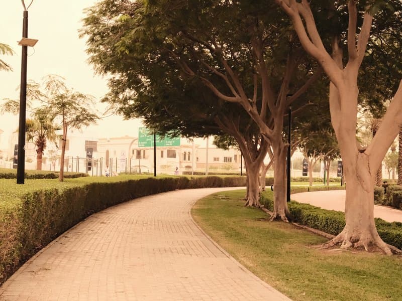 Curved pathway lined with trees and hedges in a park setting.