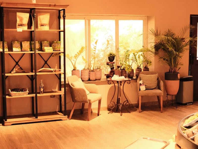 A cozy indoor space with plants, a shelf, and two chairs near a window.