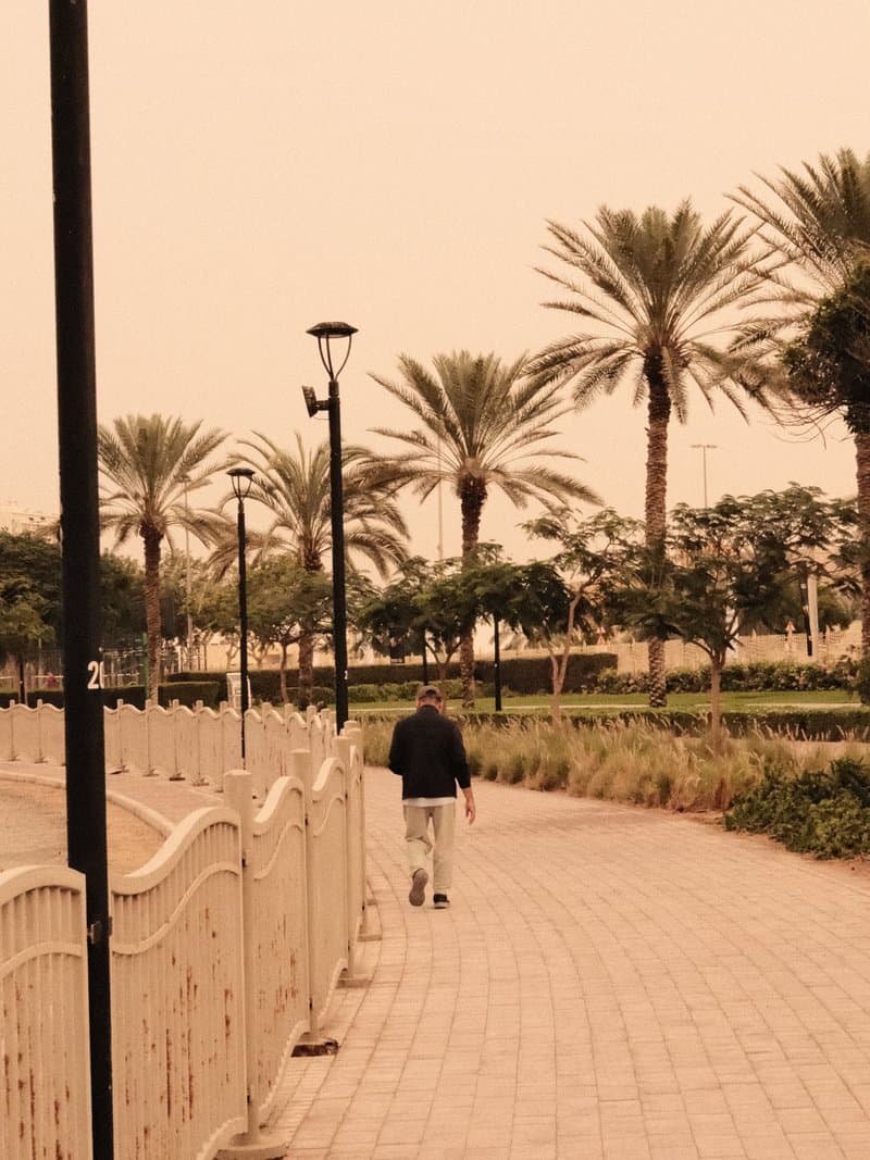 A person walking along a palm-lined pathway in a warm, muted atmosphere.