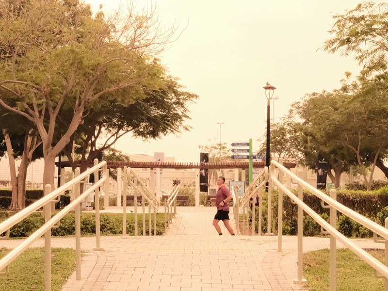 A person walking along a pathway surrounded by trees and greenery under a warm, hazy sky.