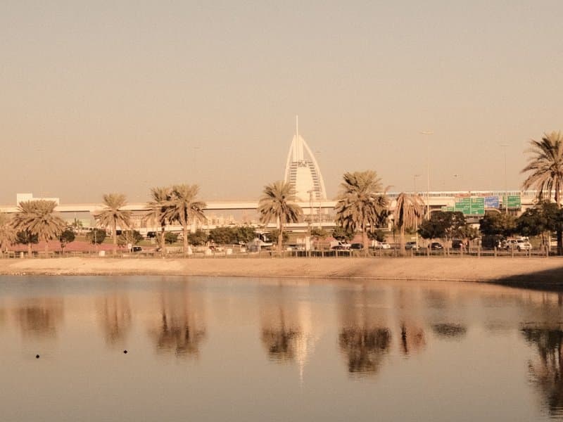 A serene view of a city skyline reflected in calm water, with palm trees in the foreground.