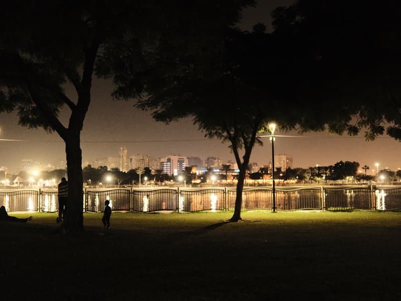 Night view of a city skyline reflected in water, framed by silhouettes of trees.