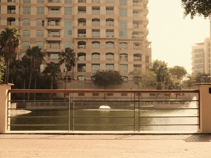 A serene view of a lake surrounded by buildings, with palm trees and a fountain in the background.