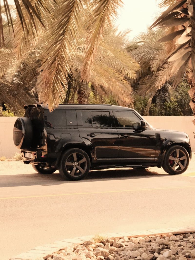 A black SUV parked beside palm trees on a sunny day.