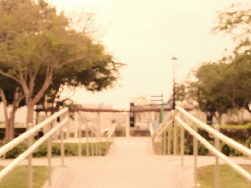 A blurred pathway leading through a park with trees on either side and a distant bridge.