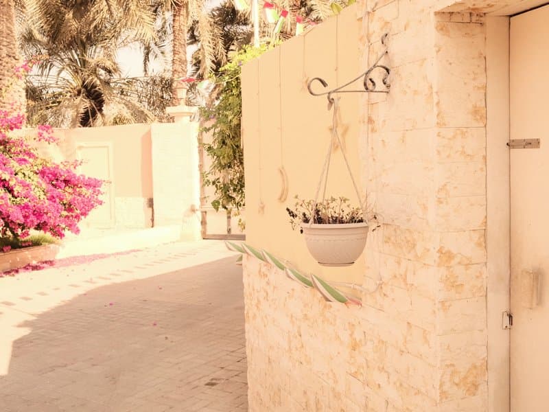 A sunlit corner of a garden with a hanging pot and vibrant pink flowers in the background.