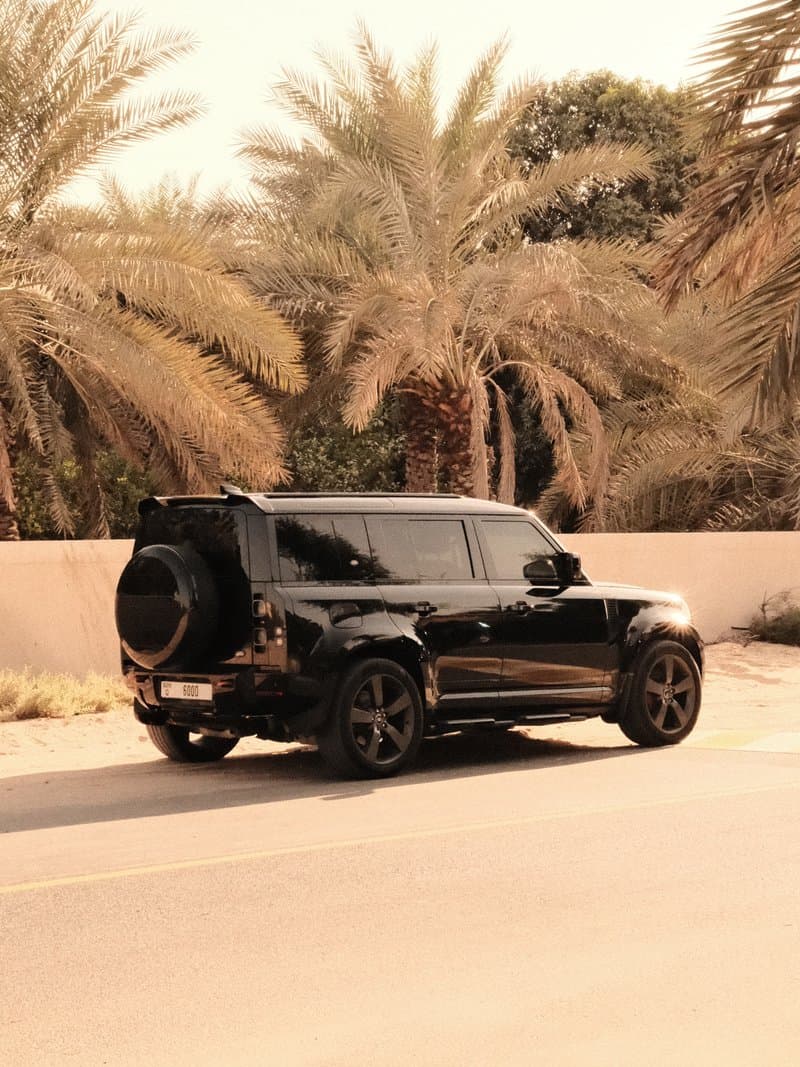 A black SUV parked beside a palm tree-lined road in a warm, sunny setting.