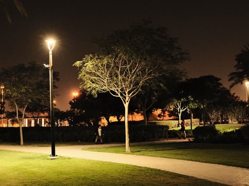 A dimly lit park at night with trees and a pathway, illuminated by street lamps.