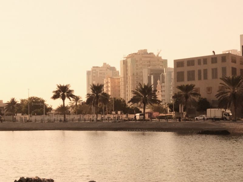 City skyline with palm trees and water in the foreground, bathed in warm, soft light.