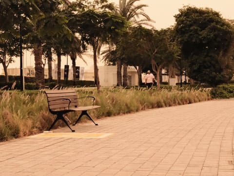 A solitary bench beside a pathway lined with trees and shrubs, creating a serene park atmosphere.