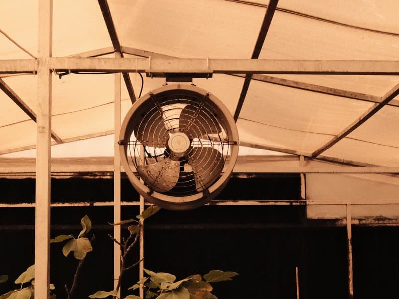 A vintage fan mounted on a greenhouse ceiling, surrounded by a white canopy and dark background.