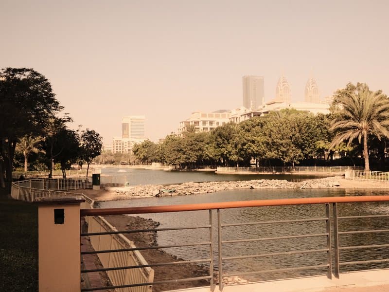 A serene view of a waterway lined with trees and buildings in the background under a warm light.