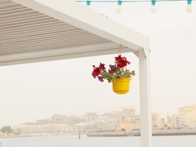 A yellow hanging planter with red flowers against a soft coastal background.