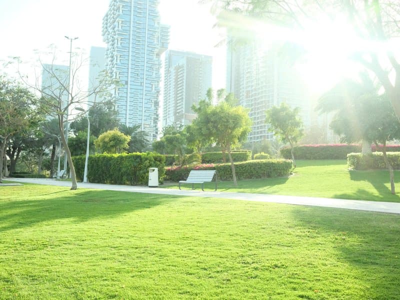Bright park scene with green grass, trees, and tall buildings in the background under sunlight.