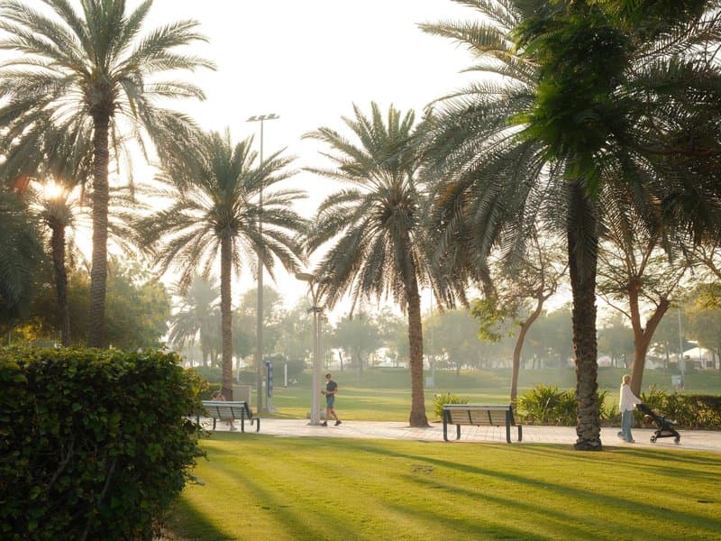 A serene park scene with palm trees and people walking on a path, bathed in soft sunlight.