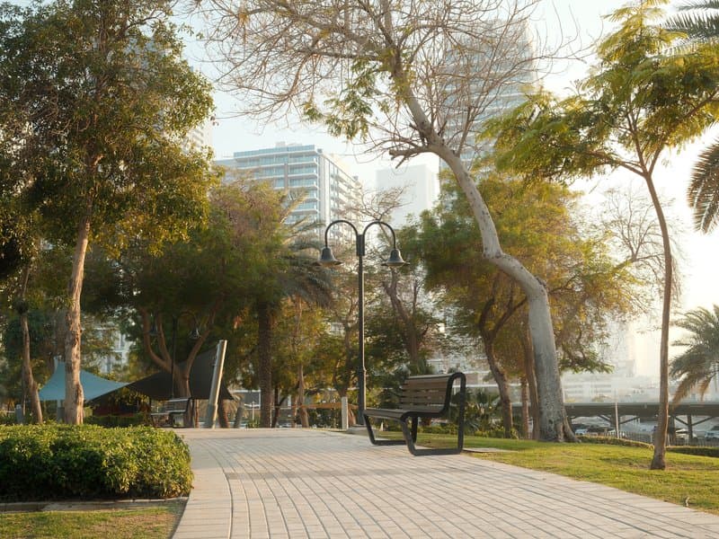 A serene park scene with a bench along a paved path, surrounded by trees and modern buildings in the background.