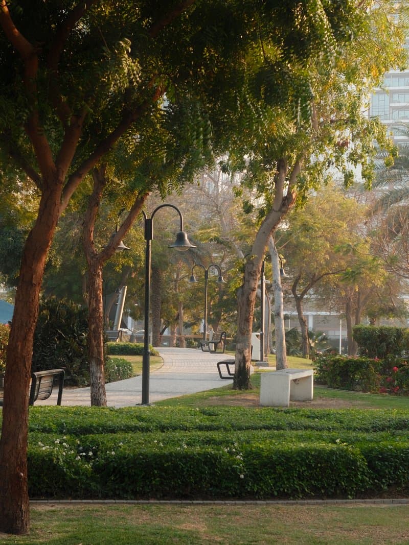A serene park scene with trees, benches, and a pathway illuminated by soft light.