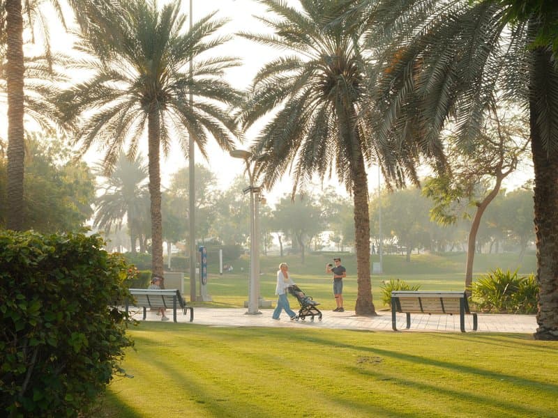 A person walking with a stroller in a park surrounded by palm trees and benches under soft morning light.