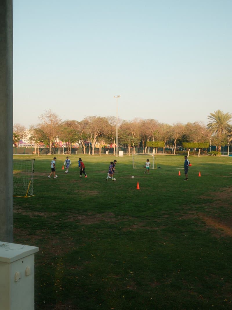 Children playing soccer on a grassy field with trees in the background under a clear sky.