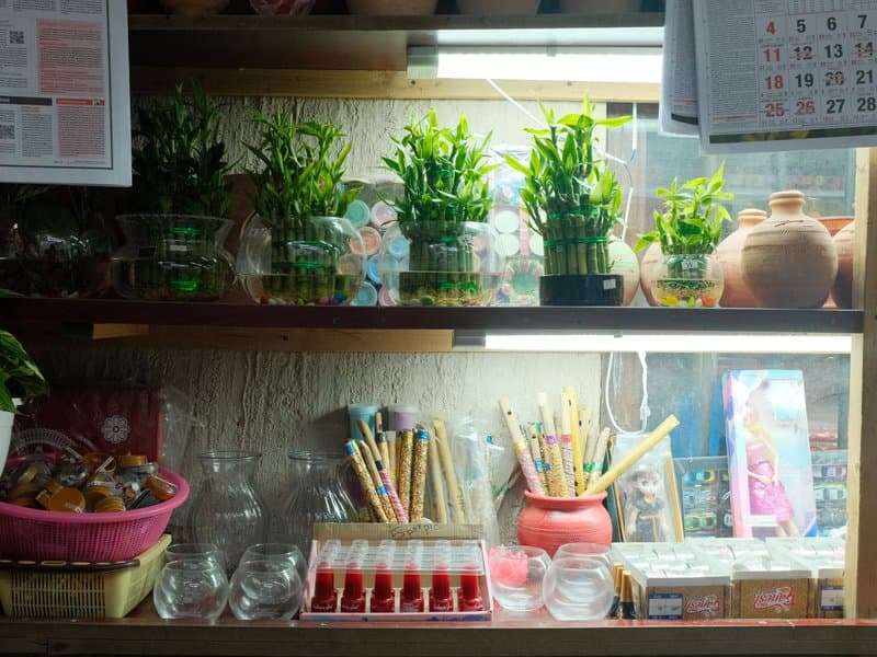 A colorful display of art supplies and small plants on a shelf, illuminated by soft light.