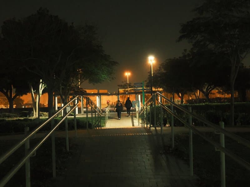 Two figures walking towards a lit pathway in a park at night, surrounded by trees and soft lighting.