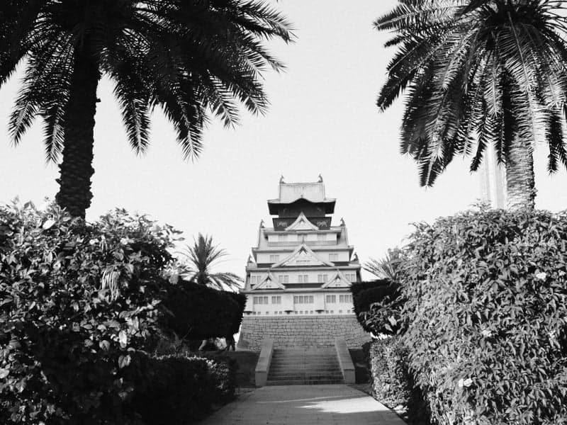 A black and white photo of a pagoda-style building framed by palm trees and lush greenery.