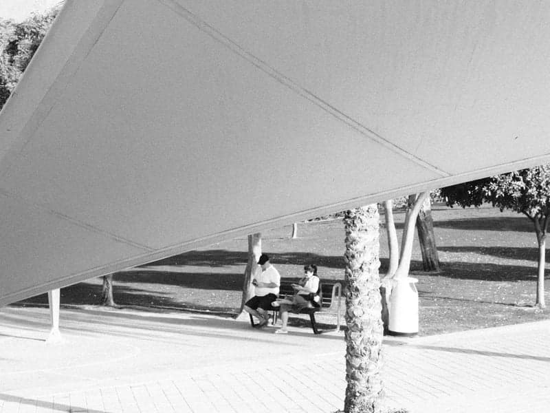 Two people sitting on a bench under a large canopy in a park, surrounded by trees.