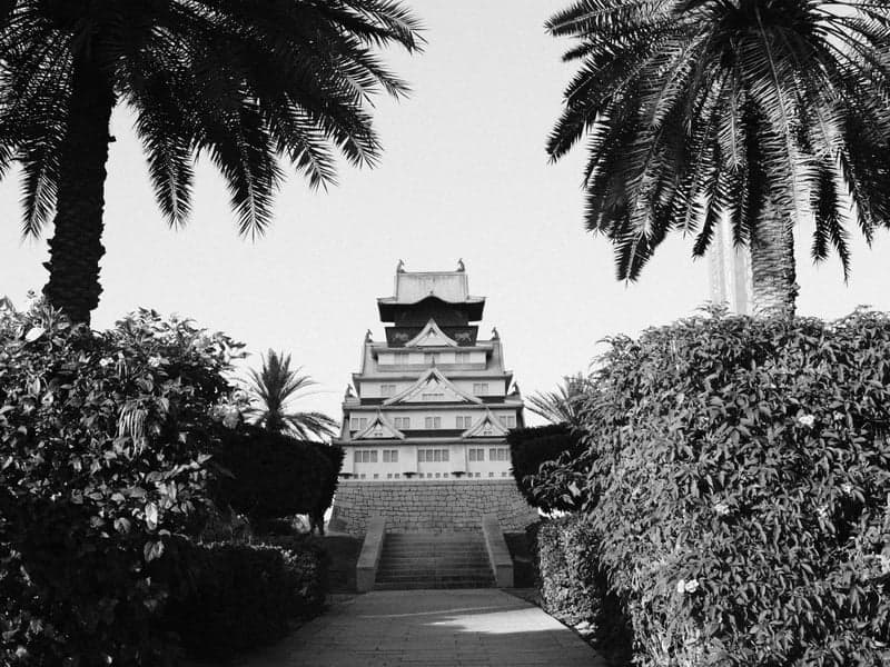 A black and white photo of a pagoda-style building surrounded by palm trees and lush greenery.