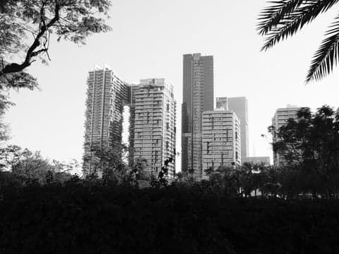 Black and white photo of modern skyscrapers behind trees in an urban park setting.