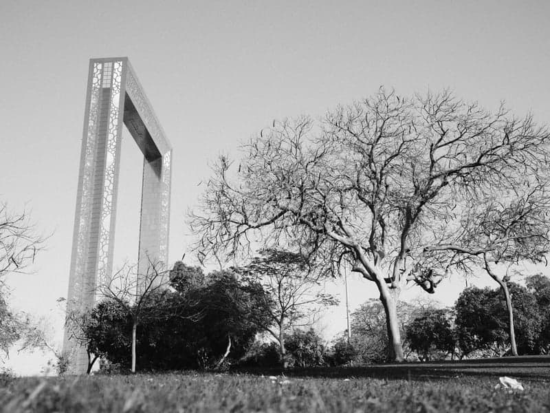 A large modern arch structure beside a leafless tree in a park setting.