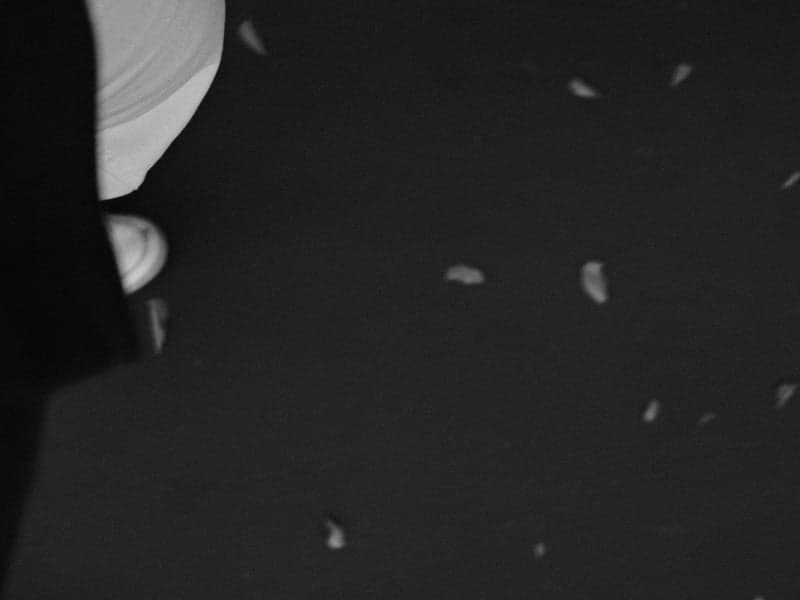 A close-up of a person's foot on a dark surface scattered with petals.