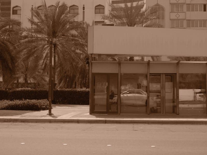 A bus stop with palm trees in the background, featuring a person waiting inside the shelter.