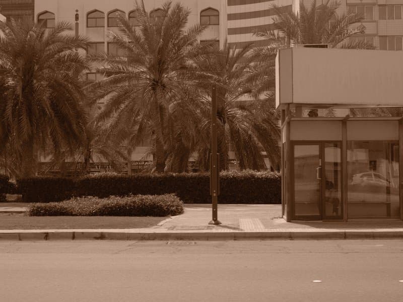 A sepia-toned street scene featuring palm trees and a closed storefront.