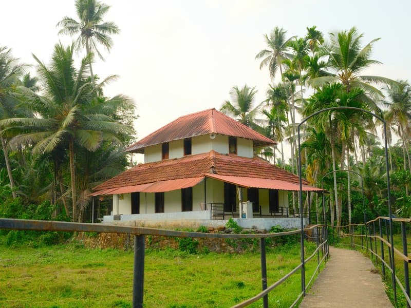 A traditional house with a red-tiled roof surrounded by palm trees in a lush green setting.